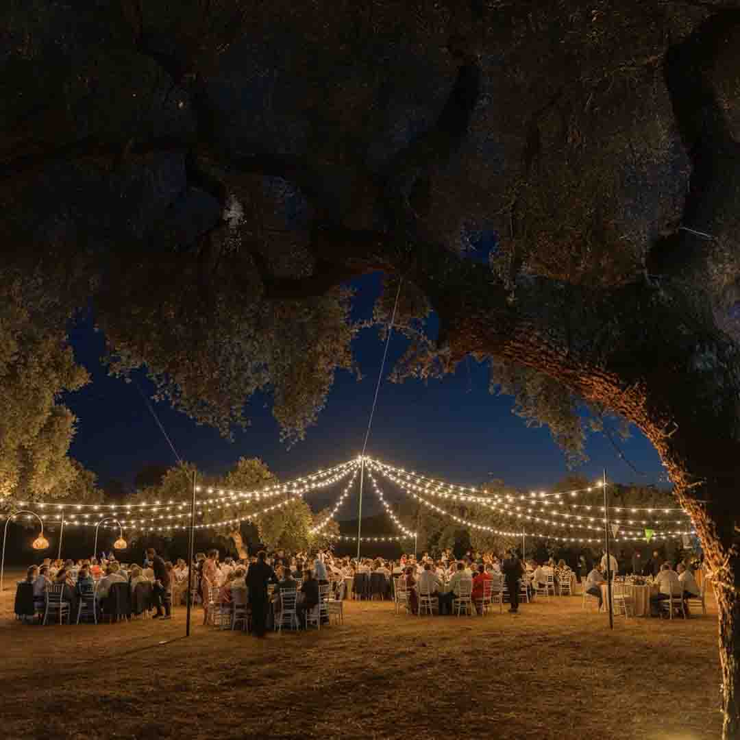 galeria-pedro-luis-y-maria-02