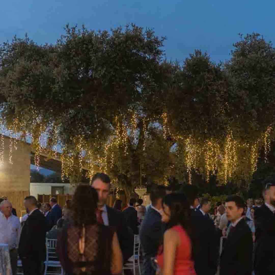 galeria-pedro-luis-y-maria-03